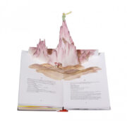Libro El Principito