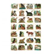 Cromos