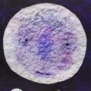 Libro ¿A qué sabe la luna?