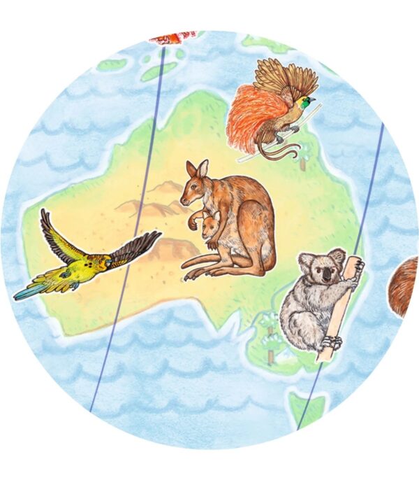 Puzzle de observación 100 pzs. Mapamundi de los animales-Djeco-3