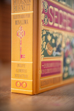libro el jardín secreto 1