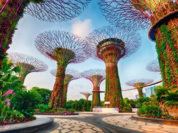 puzzle 1500pzs. jardín de la bahía en singapur 1